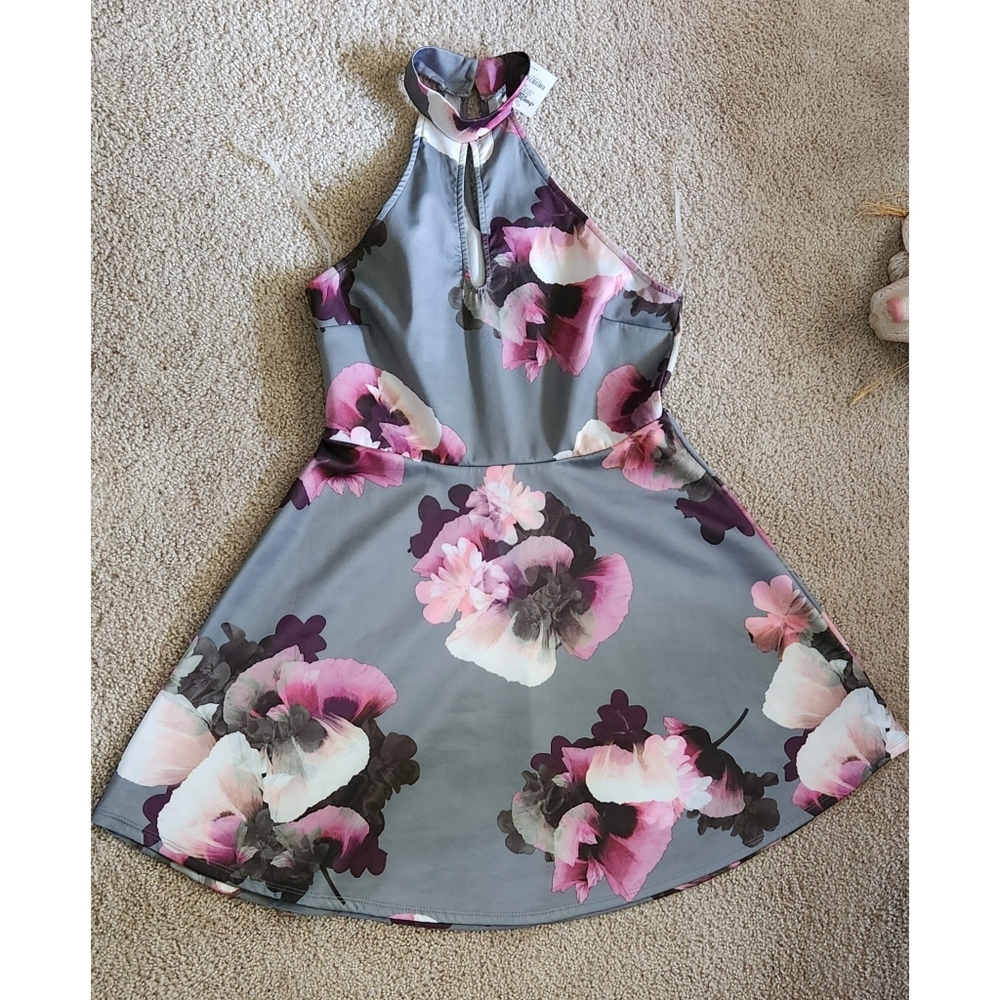 Charlotte Russe - Floral Skater Dress